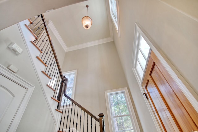 interior space featuring a high ceiling and ornamental molding