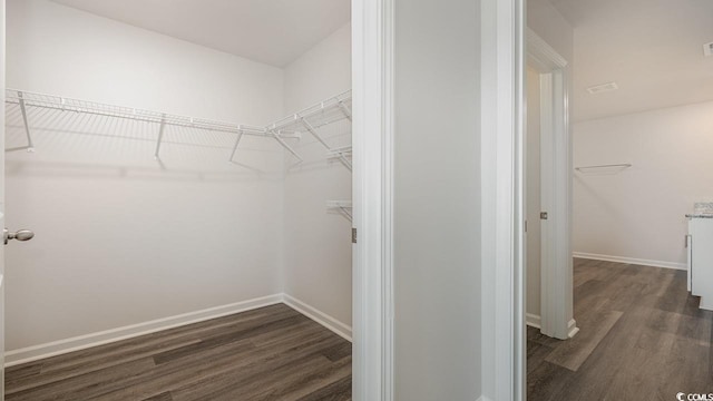 3489 Ashridge Way, Conway, SC 29526 - walk in closet with dark hardwood / wood-style floors