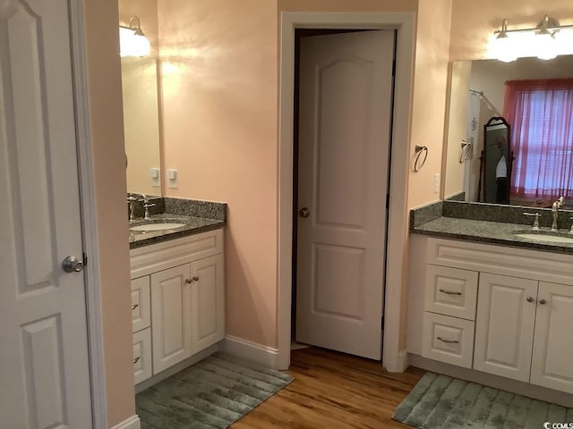 bathroom with wood-type flooring and vanity