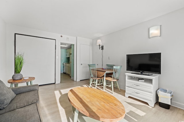 living room featuring light wood-type flooring