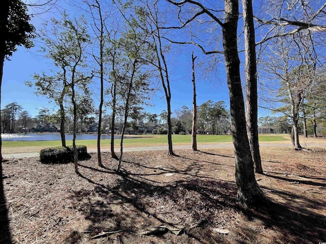 view of yard with a water view