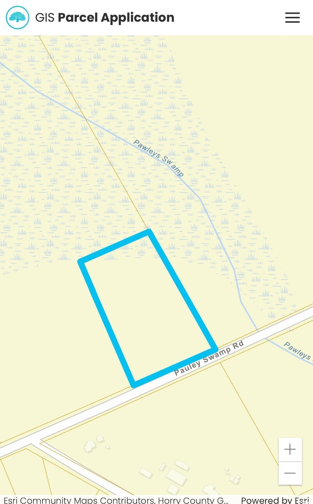 LOT1 Pauley Swamp Rd, Conway, SC 29526 - photo 1