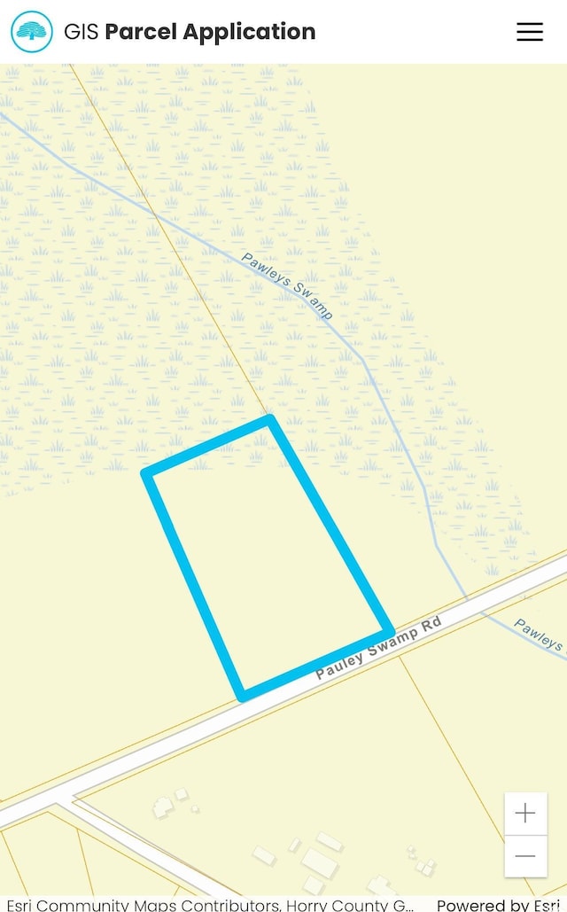 LOT1 Pauley Swamp Rd, Conway, SC 29526 - photo 1