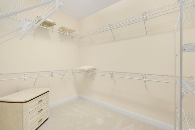 walk in closet featuring light colored carpet