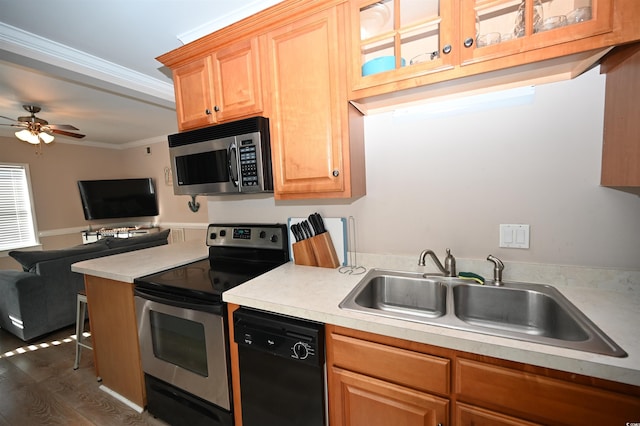 kitchen featuring sink, crown molding, appliances with stainless steel finishes, dark hardwood / wood-style floors, and ceiling fan