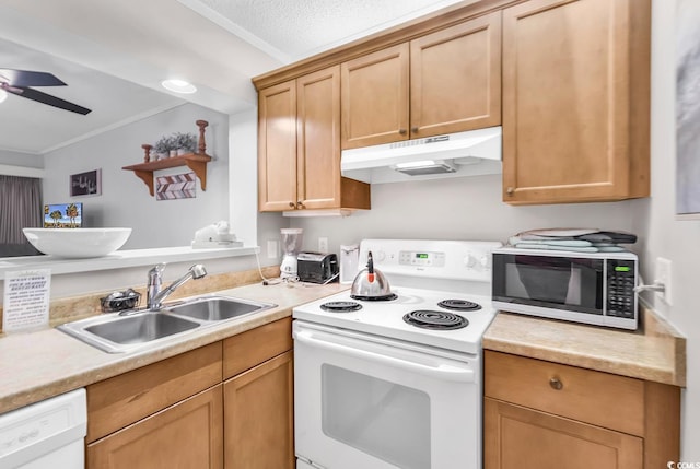 kitchen with sink, crown molding, white appliances, a textured ceiling, and ceiling fan