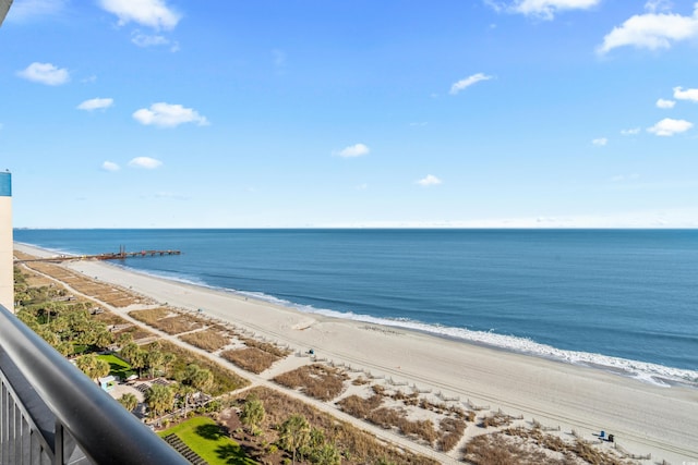 water view featuring a beach view