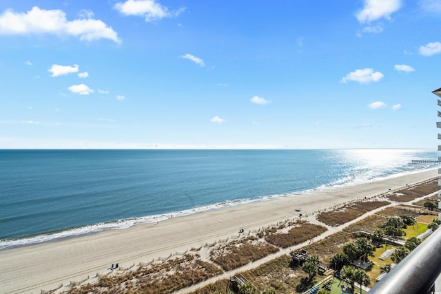 water view with a view of the beach