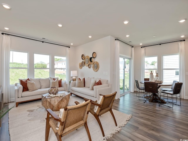 living room with hardwood / wood-style floors