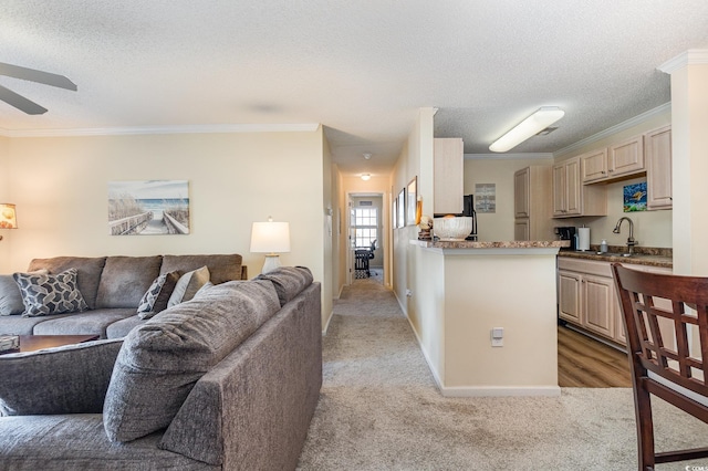 living room featuring ornamental molding, sink, light carpet, and a textured ceiling