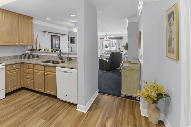 kitchen with sink, light wood-type flooring, crown molding, light brown cabinets, and white appliances