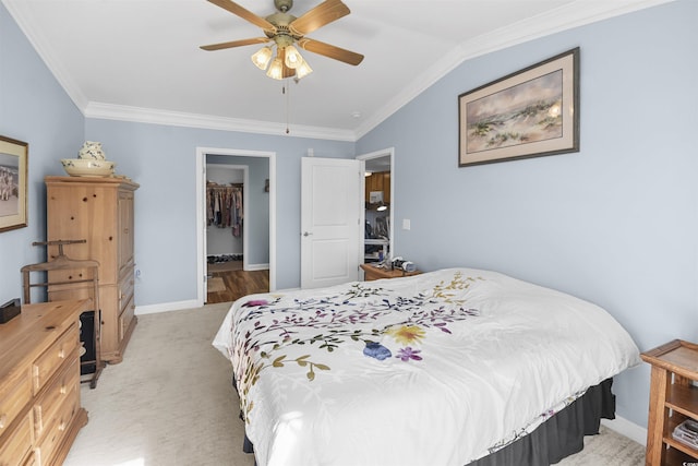 bedroom with lofted ceiling, a walk in closet, ceiling fan, crown molding, and a closet