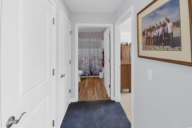 hallway featuring carpet flooring