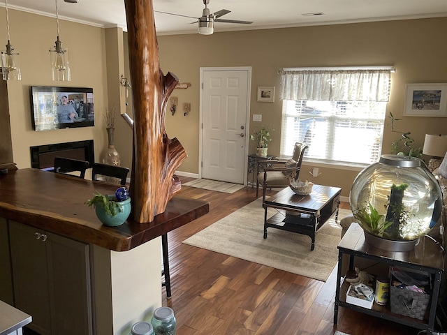 living room with crown molding, ceiling fan, and dark hardwood / wood-style floors