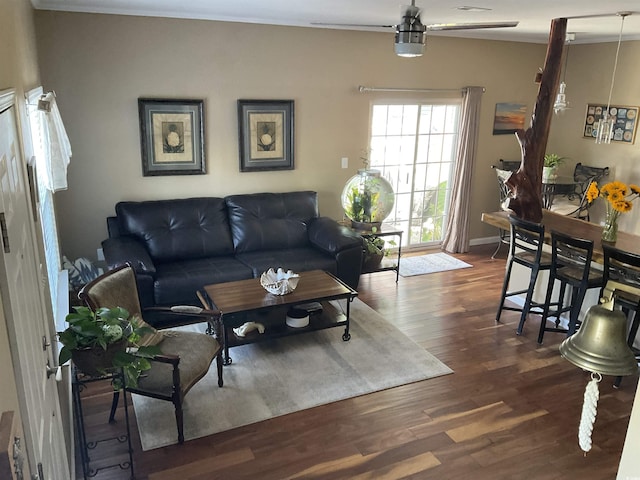 804 Brenda Pl, Myrtle Beach, SC 29577 - living area with dark wood-type flooring and crown molding