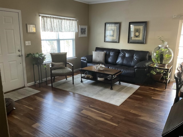 804 Brenda Pl, Myrtle Beach, SC 29577 - living area with dark wood-style flooring, crown molding, and radiator heating unit