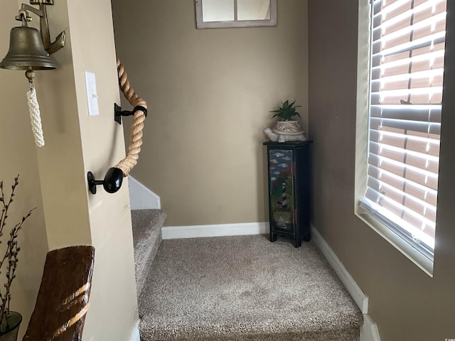 staircase featuring carpet flooring