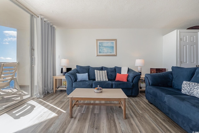 living room with hardwood / wood-style floors and a textured ceiling