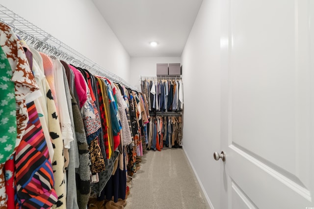 walk in closet featuring carpet floors