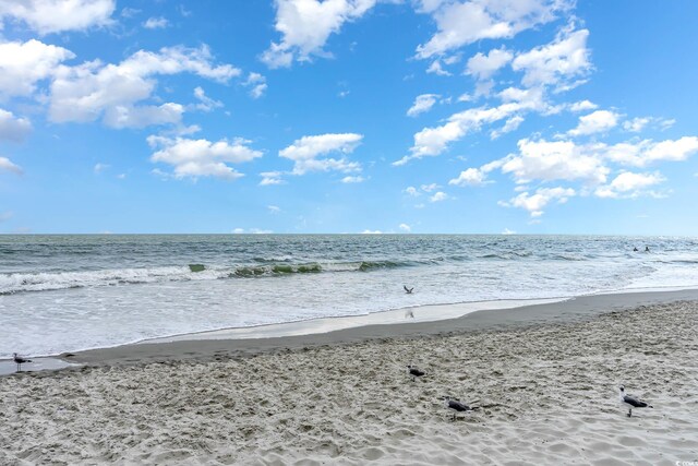 water view with a view of the beach