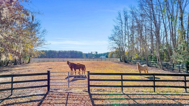 view of yard with a rural view