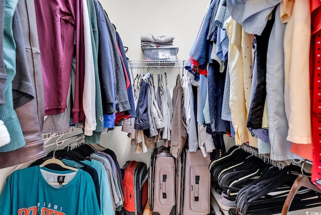 view of spacious closet