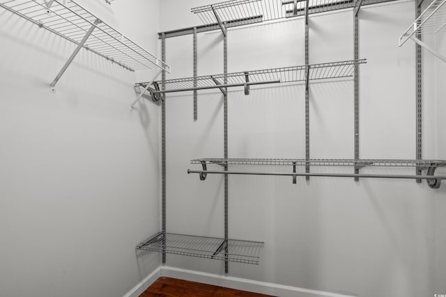 walk in closet featuring dark wood-type flooring