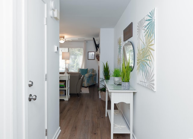 corridor with dark wood-type flooring