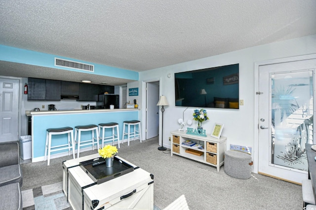 carpeted living room with a textured ceiling