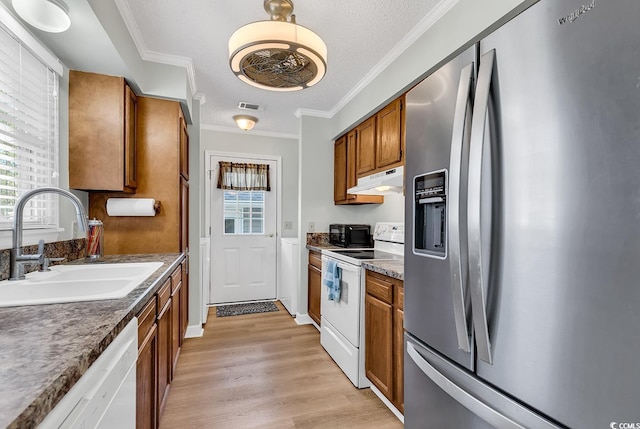 kitchen featuring a healthy amount of sunlight, white appliances, ornamental molding, and sink