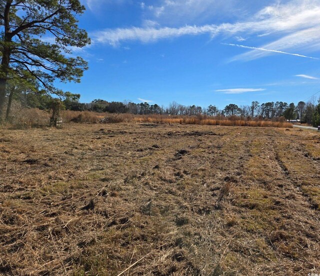 E/S Jewel Ln, Conway SC, 29527 land for sale