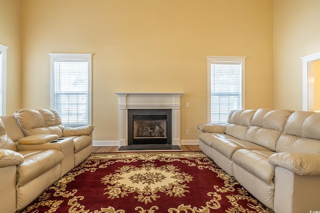 living room featuring hardwood / wood-style flooring and a wealth of natural light