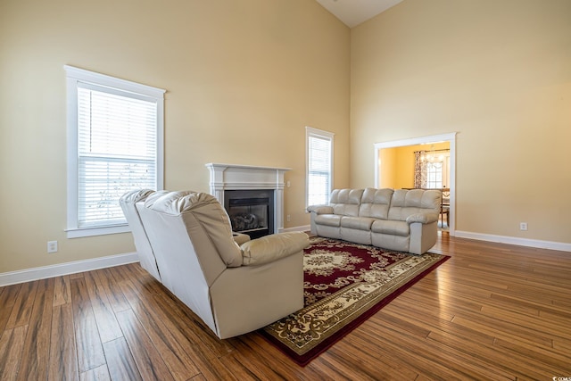 living room featuring hardwood / wood-style floors, a healthy amount of sunlight, and a high ceiling