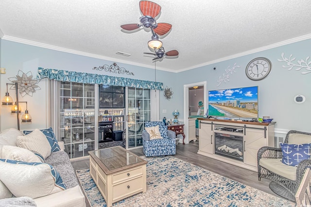 living room featuring ornamental molding and a textured ceiling