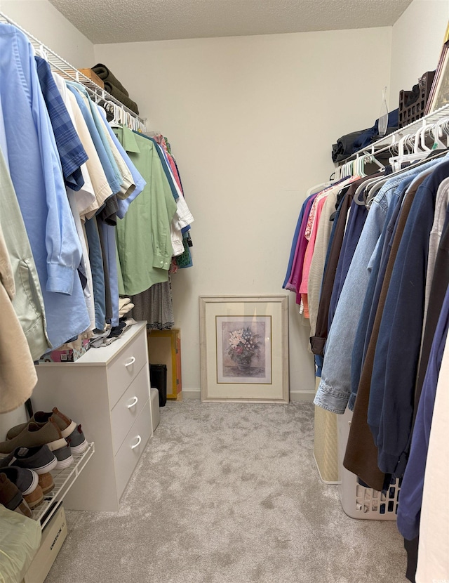 walk in closet featuring light colored carpet