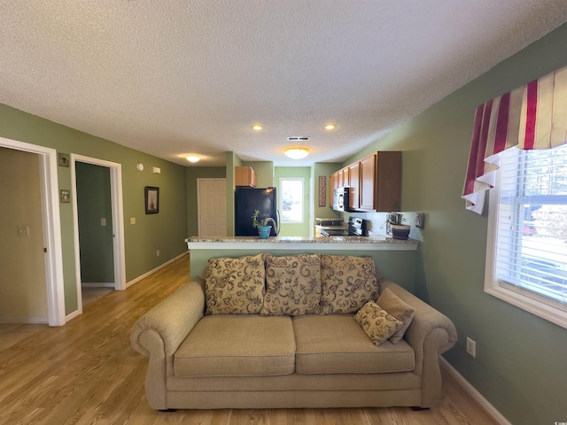 living room with light hardwood / wood-style flooring and a textured ceiling