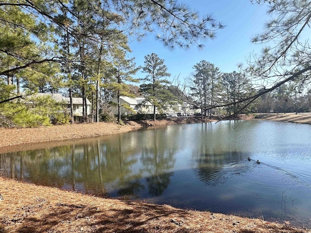 view of water feature