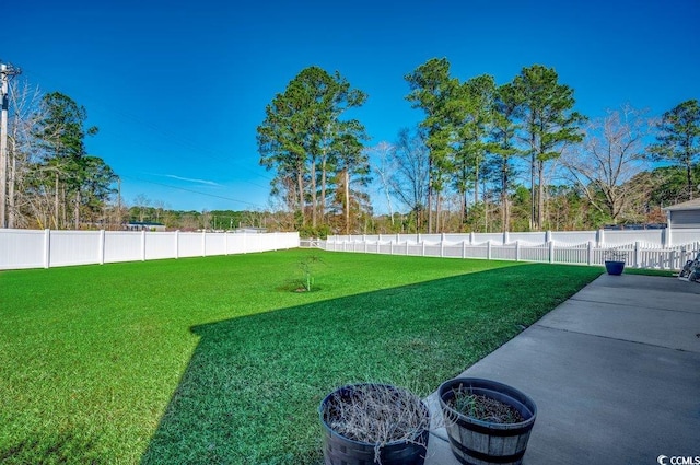 view of yard featuring a patio area