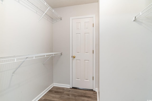 spacious closet with dark wood-type flooring