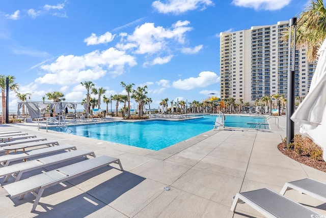 view of pool featuring a patio