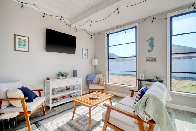 living room with a healthy amount of sunlight, baseboards, and wood finished floors