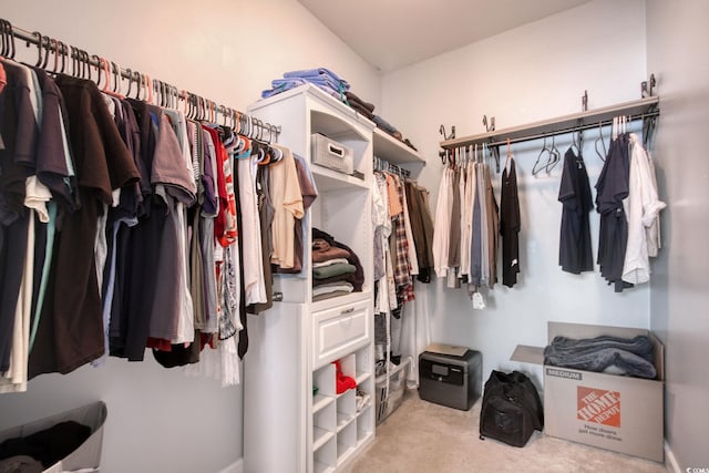 spacious closet with light colored carpet