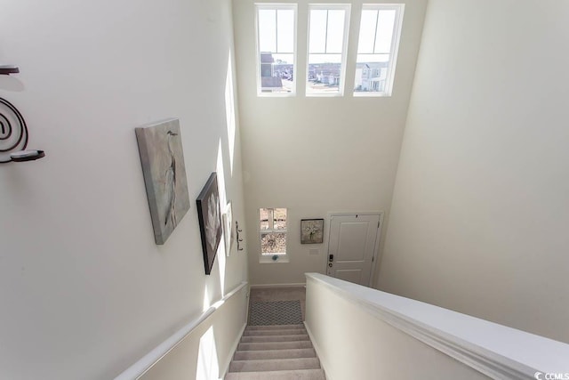 stairway with a towering ceiling and carpet