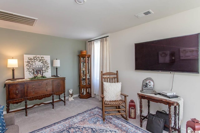 sitting room with carpet floors