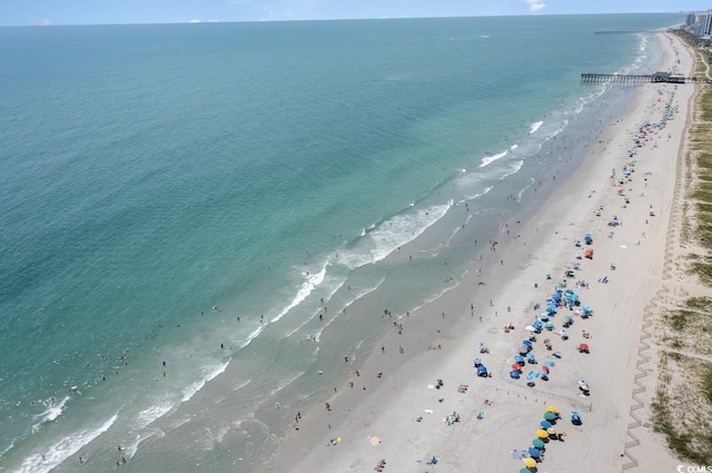 water view featuring a view of the beach