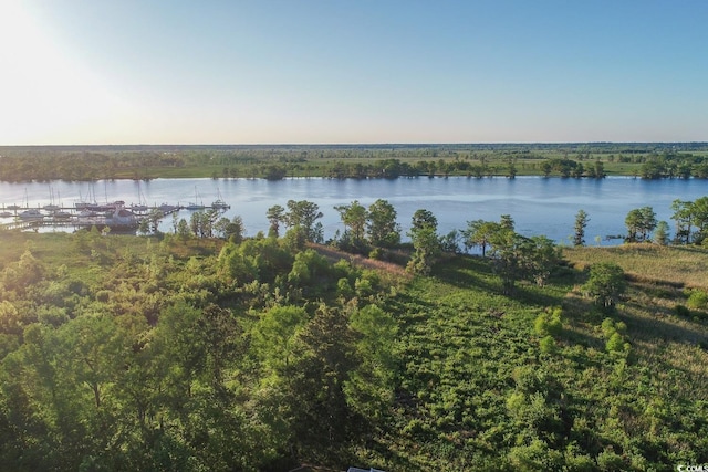 property view of water