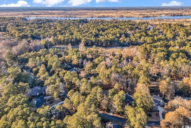 bird's eye view featuring a water view and a forest view