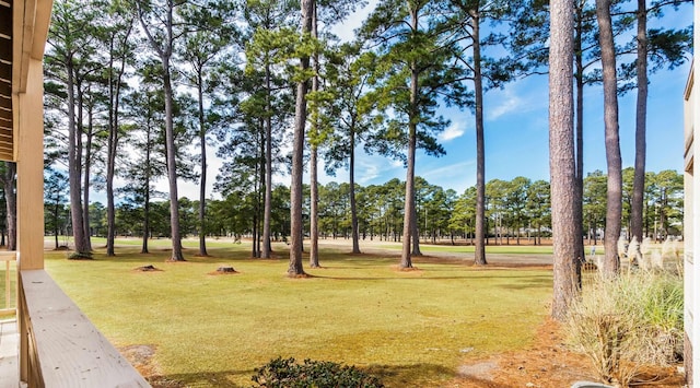 view of community featuring a lawn