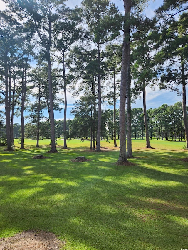 view of property's community featuring a yard