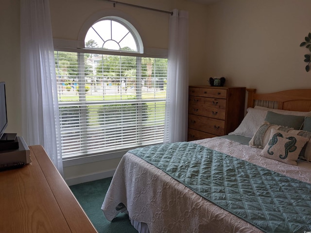 bedroom featuring carpet flooring